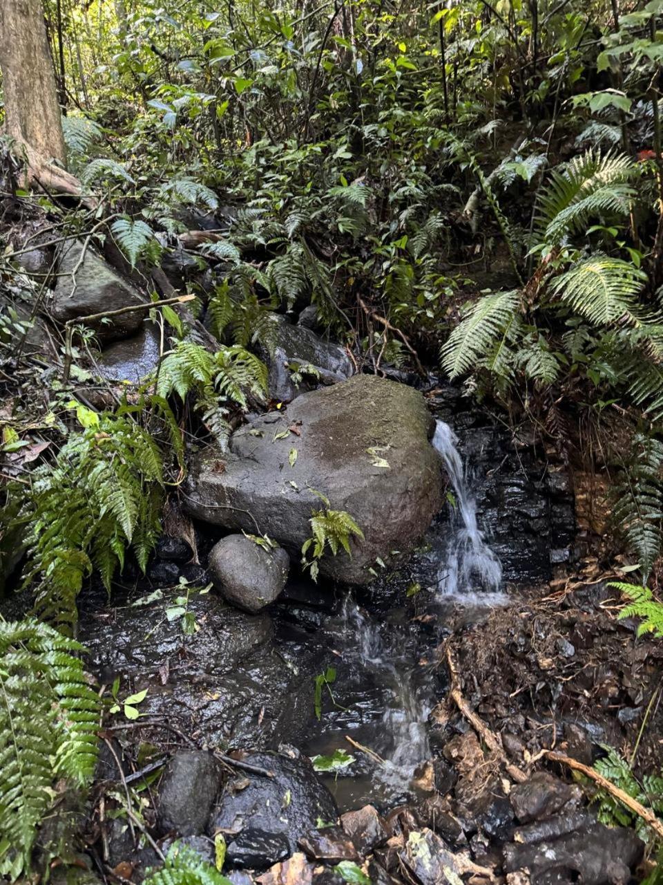 Chale Recanto Do Frassetto Sideropolis Экстерьер фото