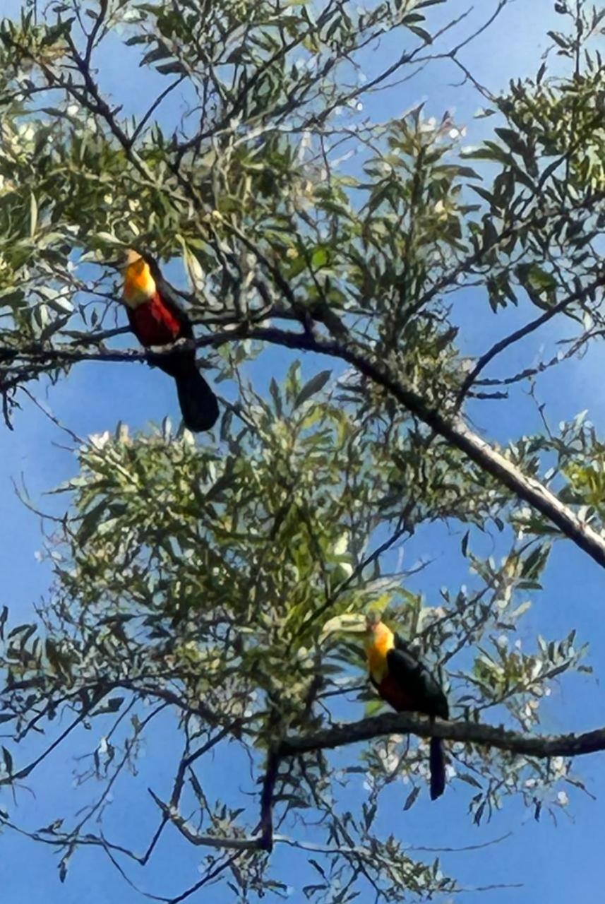 Chale Recanto Do Frassetto Sideropolis Экстерьер фото